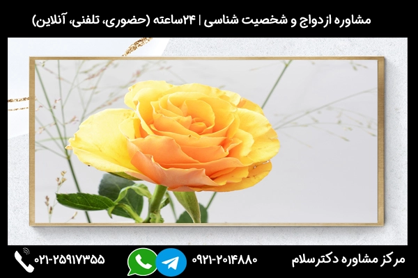 مشاوره مشکلات ازدواج بخاطر فرار از تنهایی از طریق تلفنی یا حضوری
