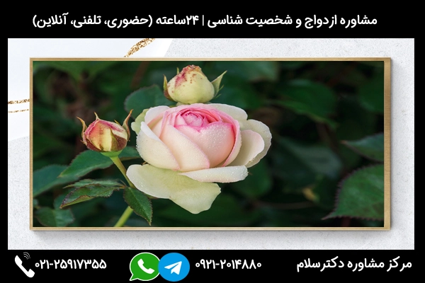 مشاوره قبل از ازدواج در سن کم برای جلوگیری از مشکلات و امادگی