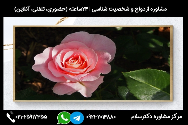 مشاوره با خواستگار سیگاری چه کنیم در مرکز دکترسلام