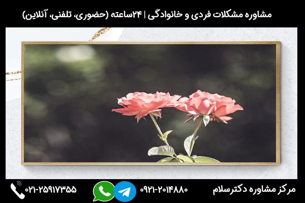 مشاورین مرکز مشاوره دکترسلام بصورت تلفنی یا حضوری میتوانند به شما راهنمایی های لازم درباره جدایی در دوران نامزدی را ارائه دهند.